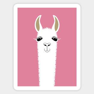 LLAMA PORTRAIT #5 Sticker